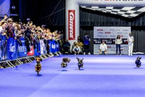 Highlight Dackelrennen in München