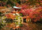 Traumhaft schöner Herbst in Asien
