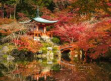 Traumhaft schöner Herbst in Asien