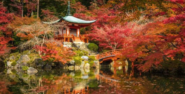 Traumhaft schöner Herbst in Asien