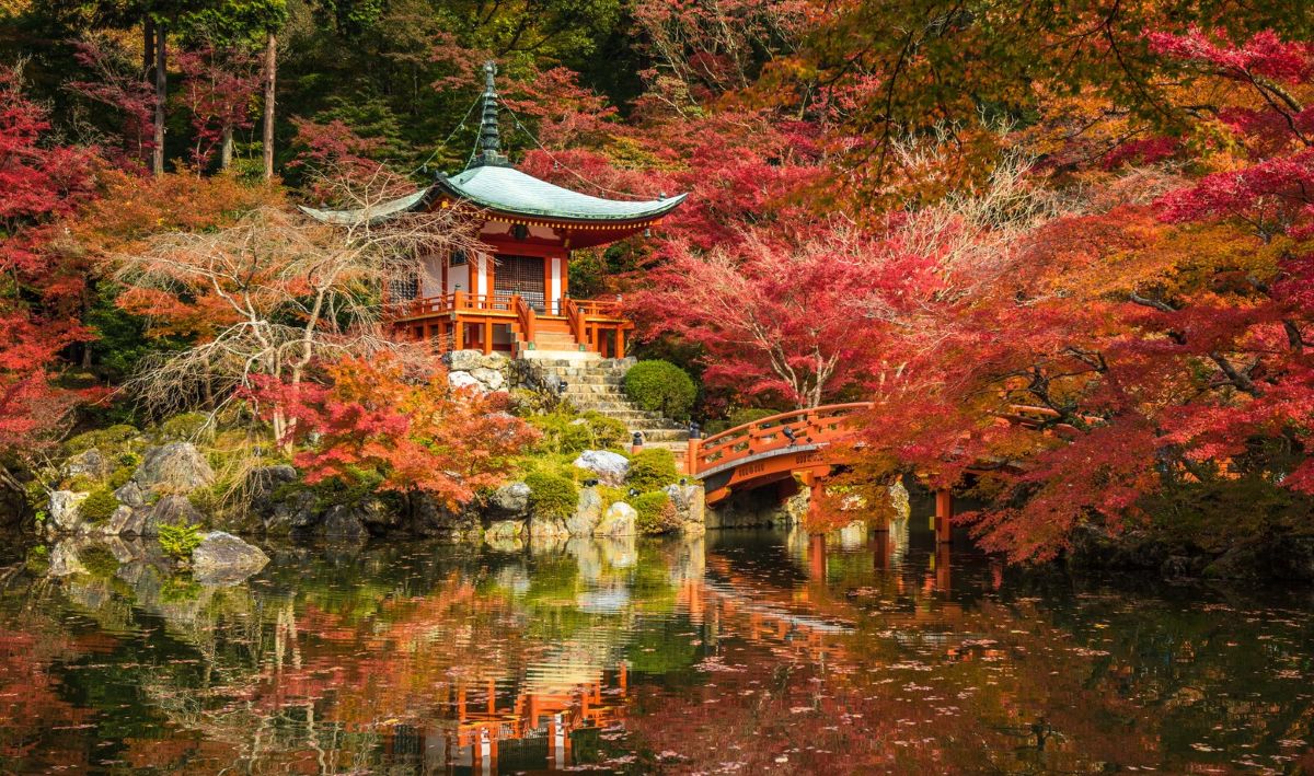 Traumhaft schöner Herbst in Asien